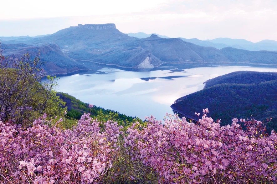 沐春寻芳||寻迹国家5A级旅游景区，在山水之间捕捉辽境春之绮丽